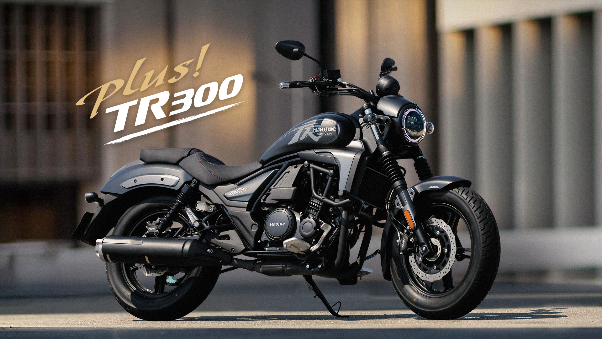 [유로5+] TR300 Plus